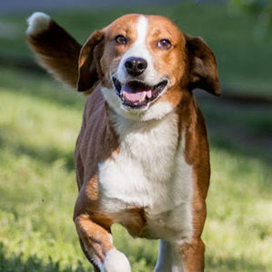 Meet your Posher, Jay